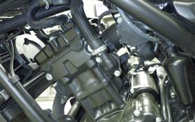 HONDA REBEL 250 S MC49