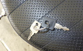 OTHER +HD. XL1200R 2005