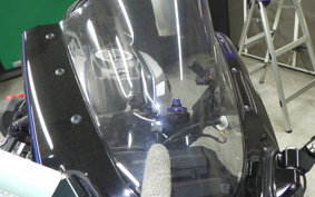 YAMAHA YZF-R15M