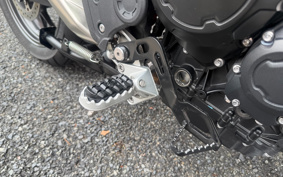 TRIUMPH TIGER 900GT PRO 2024 TRC82D