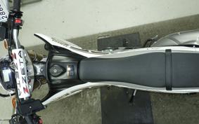 YAMAHA WR250R 2024 DG15J