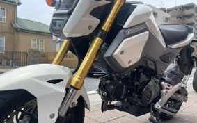 HONDA GROM JC61