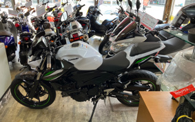 KAWASAKI Z250 EX250P
