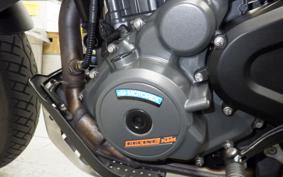 KTM 250 ADVENTURE