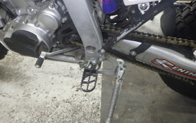 YAMAHA WR250R 2024 DG15J