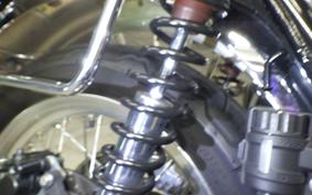 KAWASAKI W800 2021 EJ800B