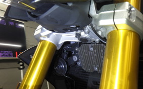 BMW G310R 2024