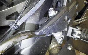 KAWASAKI NINJA1100SX 2025