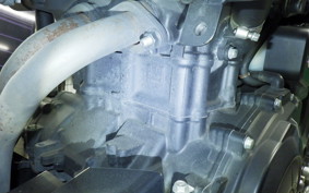 YAMAHA MT-25 2021 RG10J