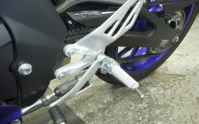 YAMAHA YZF-R15 2021 RG86J