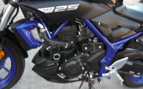 YAMAHA MT-25 RG43J