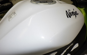 KAWASAKI NINJA 250 SL 2018