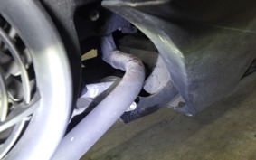 SUZUKI ADDRESS V125 DT11A
