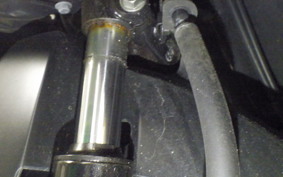 HONDA DUNK 1984 AF78