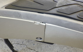 SYM RV125 JP Type 2020