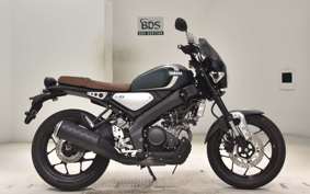 YAMAHA XSR155