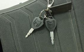 OTHER +MUTT DRK-01 250 1999