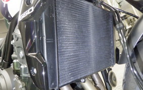 TRIUMPH TRIDENT 660 2024