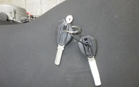 DUCATI PANIGALE V2 2020