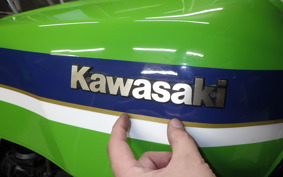 KAWASAKI Z1000 R 2009