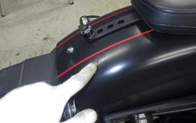 HARLEY XL1200CX 2017