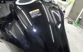 SUZUKI DL650 ( V-Strom 650 ) A 2024 C733M