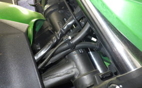 KAWASAKI Z300 2022