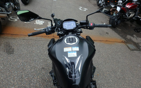 KAWASAKI Z900 2022 ZR900B