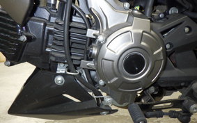 KAWASAKI Z125 PRO 2009 BR125H
