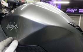 KAWASAKI NINJA 250 ABS EX250L