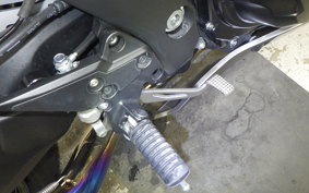 KAWASAKI NINJA 1000 SX 2021 ZXT02K