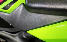 KAWASAKI ZX-4RR 2024 ZX400P