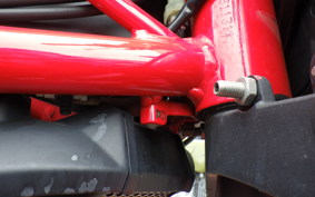 DUCATI MONSTER 696 + 2010