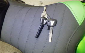 KAWASAKI Z250 Gen.2 2025 EX250Y