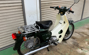 HONDA SUPER CUB50 C50