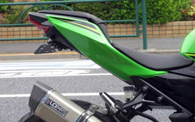 KAWASAKI NINJA 250 EX250P