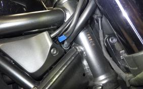 HONDA REBEL 1100 T DCT 2023 SC83