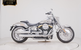 OTHER +HD. FLSTFI1920 2018