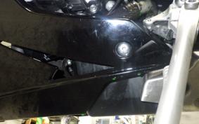 TRIUMPH DAYTONA 675 R 2016