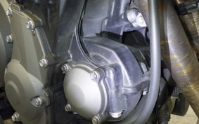 TRIUMPH TRIDENT 660 2025
