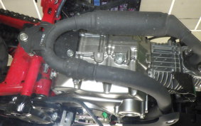 HONDA MONKEY 125 2025 JB05