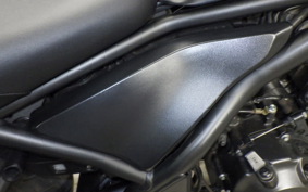 HONDA REBEL 250 A 2024 MC49