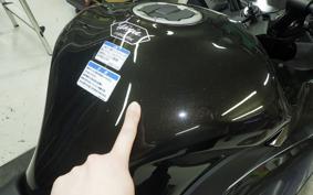 KAWASAKI NINJA 1100SX 2026 ZXT10H