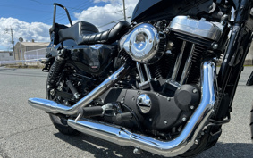 HARLEY XL1200X FINAL ED 2022 LC3