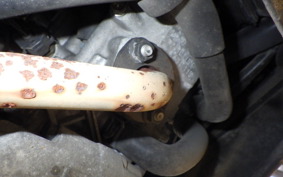 YAMAHA JOG Gen.5 SA36J