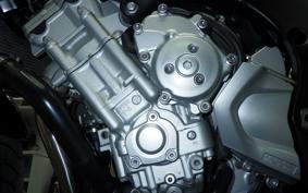 YAMAHA FZ1 FAZER 2008 RN21J