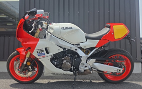 YAMAHA XSR900 GP 2024 RN96J