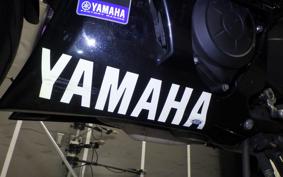 YAMAHA YZF-R3 2020 RH13J