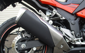 KAWASAKI Ninja 250 SE EX250L