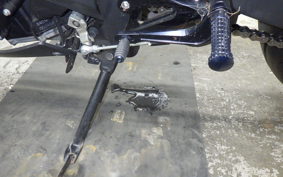YAMAHA YZF-R25 2007 RG10J